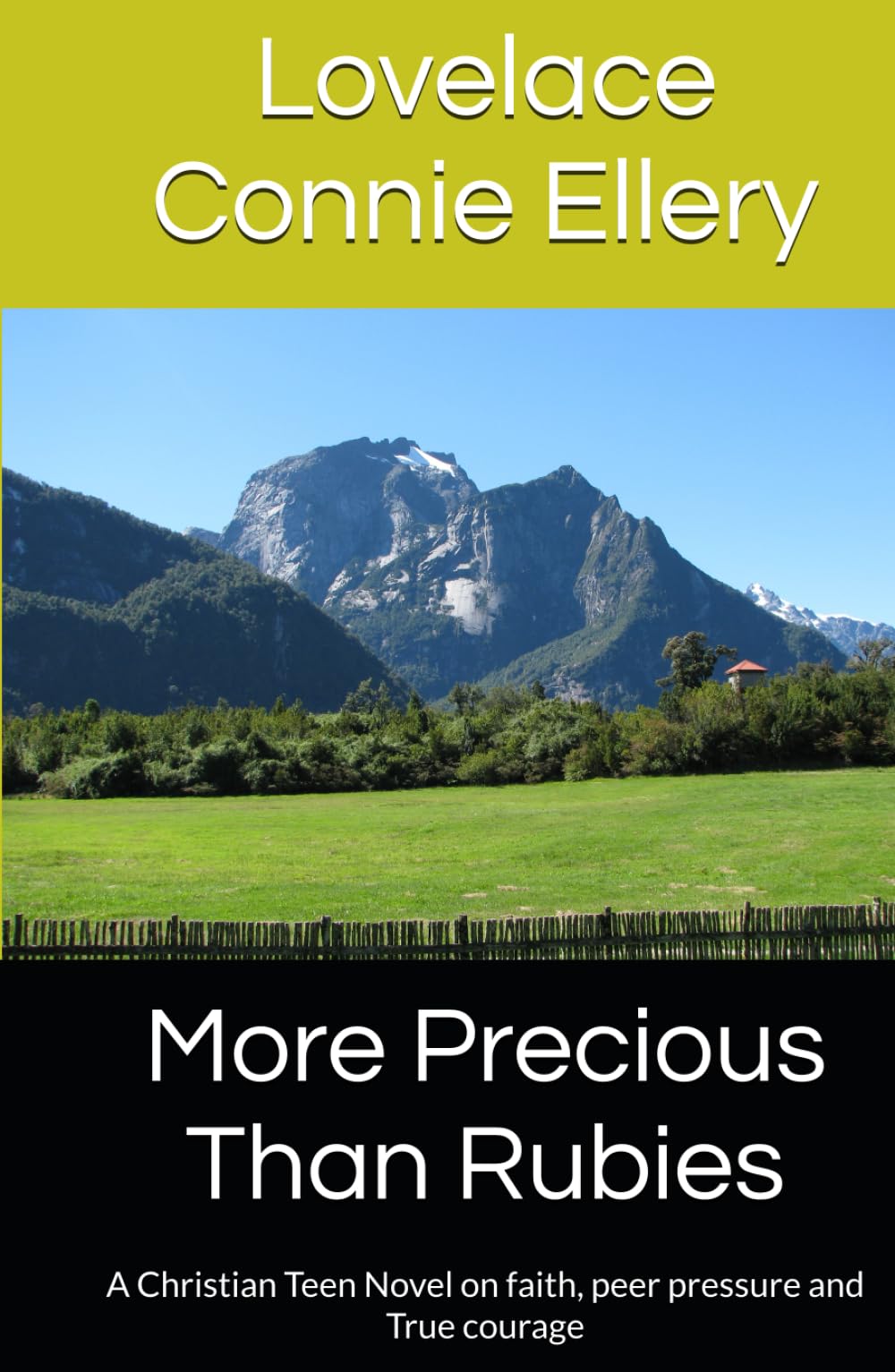 More Precious Than Rubies: A Christian Teen Novel on faith, peer pressure and True courage