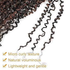 Aksice Pre-looped Yanky Twist Crochet Hair 8 Inch 8 Packs Bohemian Passion Twist Spring Mini Twist Crochet Hair for Black Women Boho Crochet Braids Synthetic (1b/h/30)