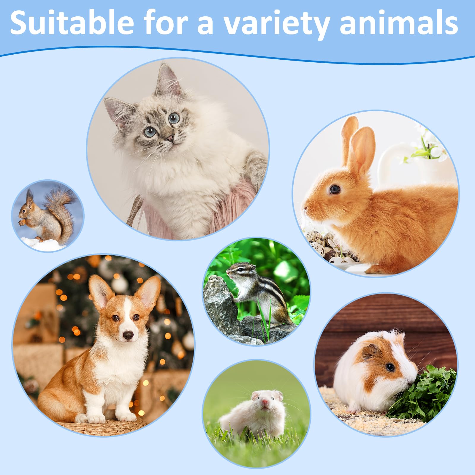 Kit de toilettage pour lapins, brosse à ongles avec coupe-ongles lapin, coupe-ongles avec peignes pour animaux de compagnie, hamsters, cochons d'Inde, furets