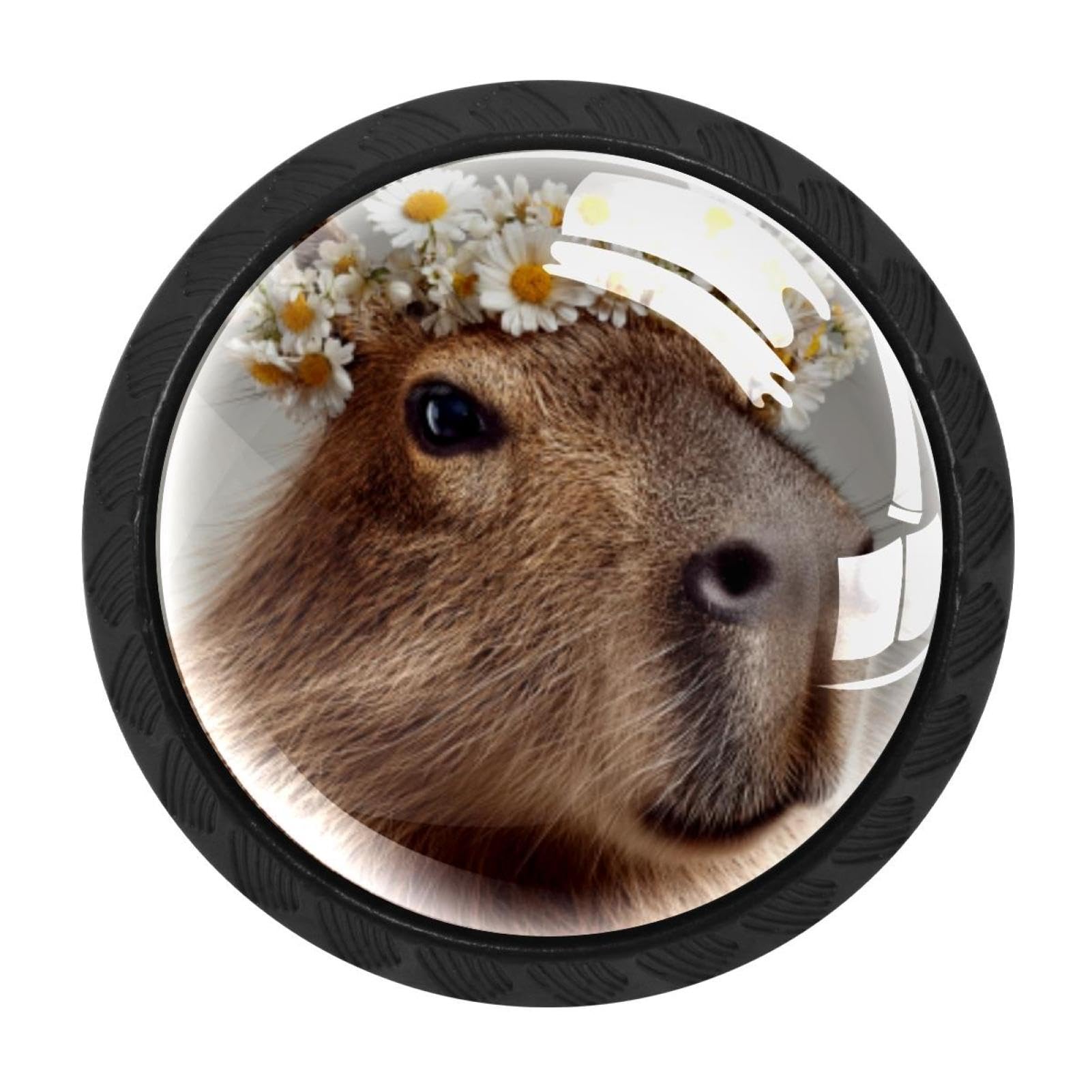CHENZZZZ Capybaras Daisy (2) Colorful Drawer Pulls 4 Pcs Handle Glass Door Cabinet Knobs Home Office Kitchen Wardrobe Cupboard Hardware for Dresser Drawers