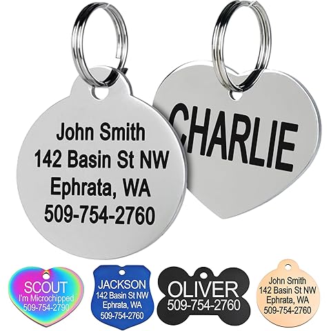 GoTags Stainless Steel Pet ID Tags, Personalized Dog Tags and Cat Tags, up to 8 Lines of Custom Text, Engraved on Both Sides, in Bone, Round, Heart, Bowtie and More (Round, Small (Pack of 1))