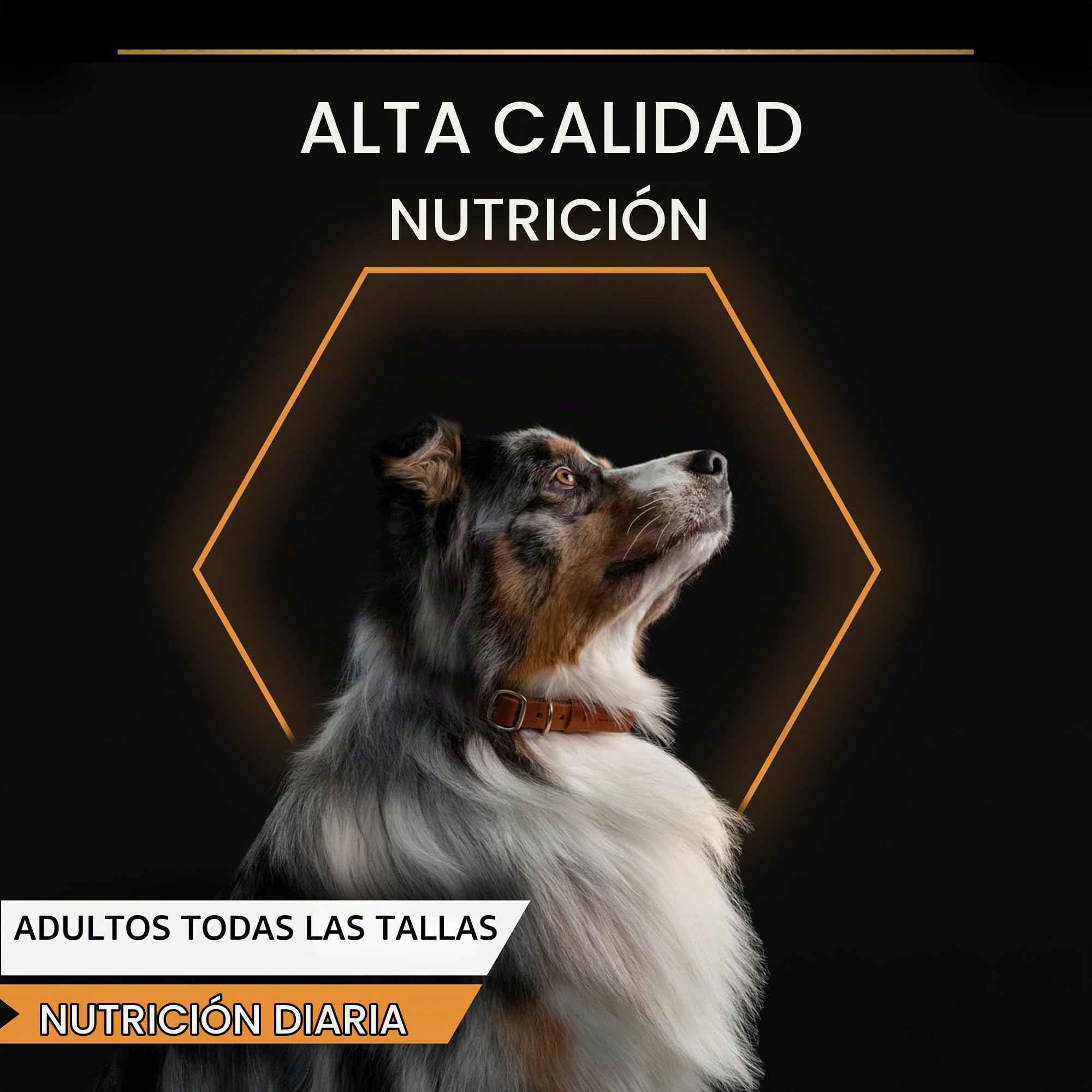 Pro Plan Comida Húmeda perro trozos gelatina Pescado 12x400 g