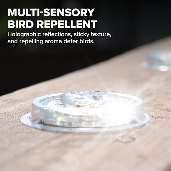 Bird B Gone - SpectrumV Holographic Bird Gel (12 Pack) - Bird Repellent Gel - Repels Birds - Protect Edges, Ledges, Rooftops, Etc - UV Protected & Humane - Easy to Install Dishes