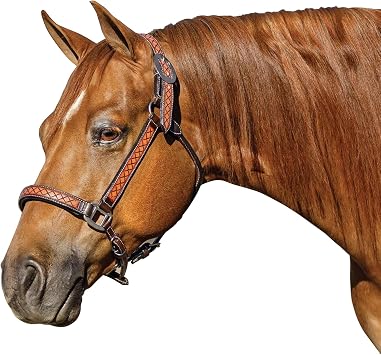 Schneiders Tooled Diamond Padded Leather Ranch Halter for Horses | Hand-Tooled Diamond Design | Argentine Leather | Semi-Custom Adjustable Fit | Padded for Comfort