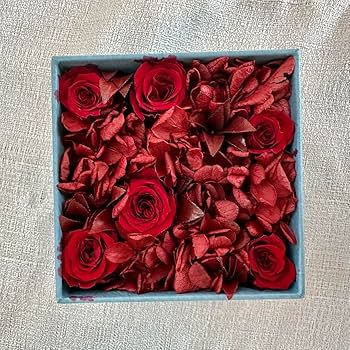 Amazon.co.jp: ニコライバーグマン プリザーブドフラワー 赤