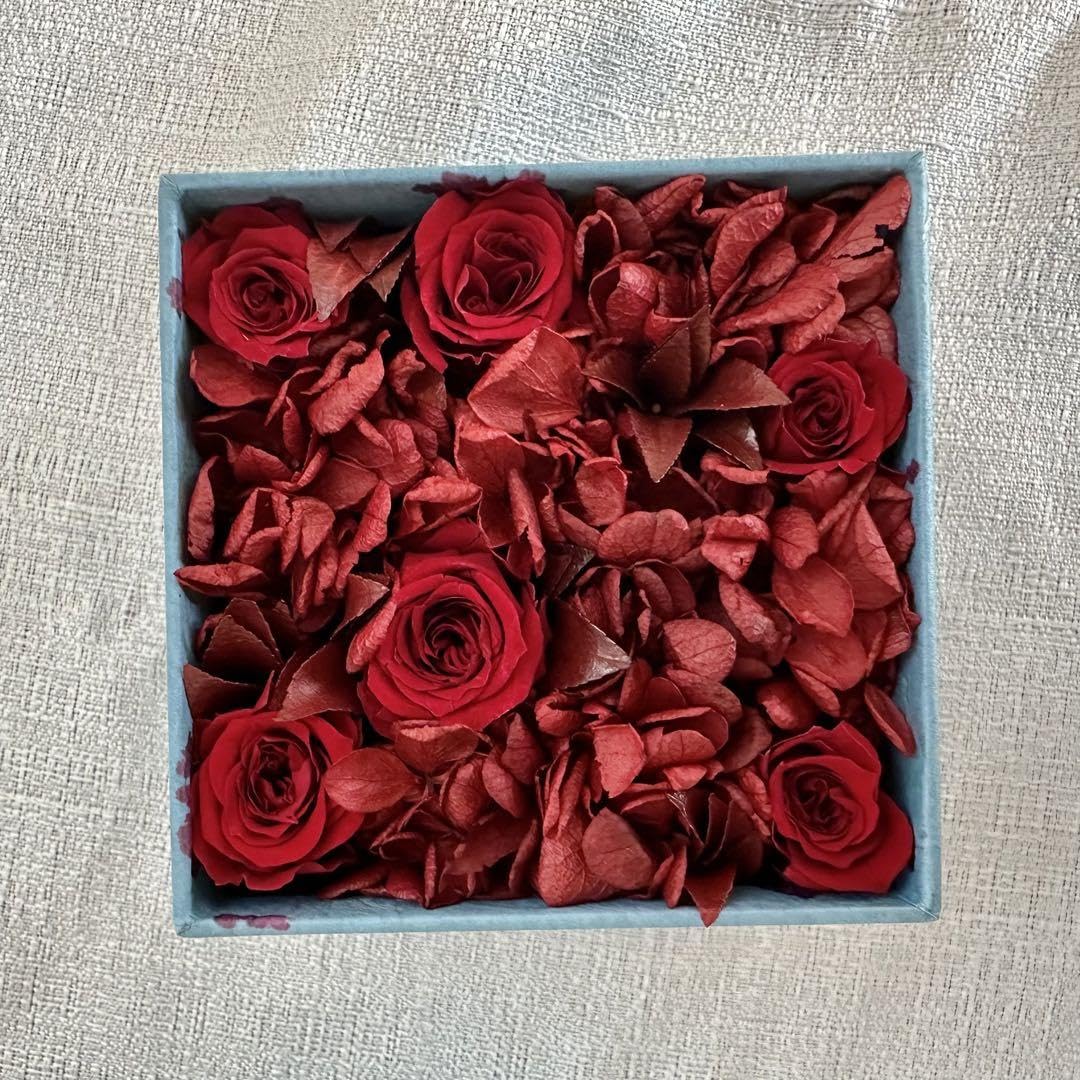 Amazon.co.jp: ニコライバーグマン プリザーブドフラワー 赤