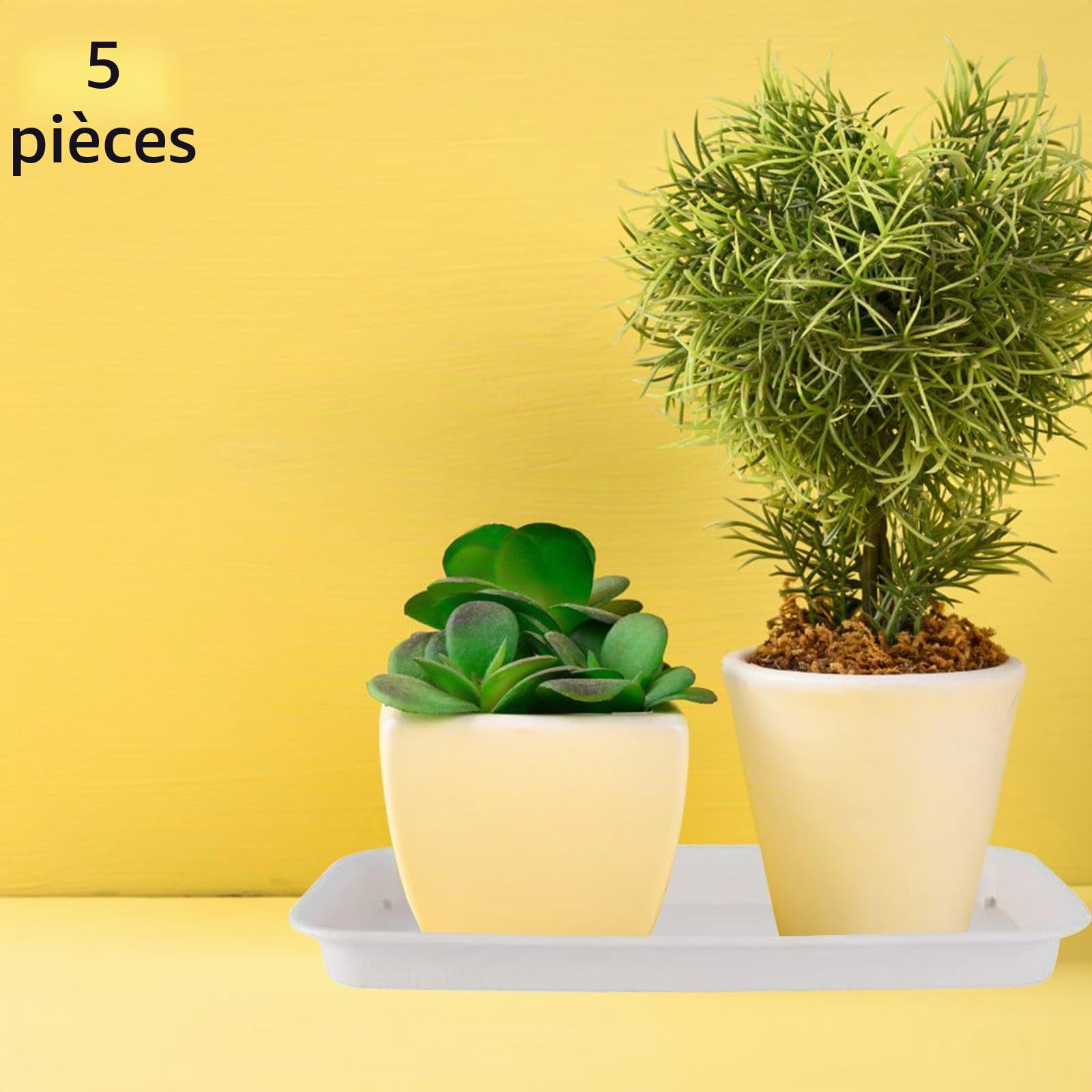 5X Soucoupes pour Plantes, Plateaux de Jardinières Rectangulaires, Soucoupe pour Pot de Fleurs en Plastique pour Cour, Jardin, Intérieur et Extérieures, 48 cm x 19 cm, Blanc