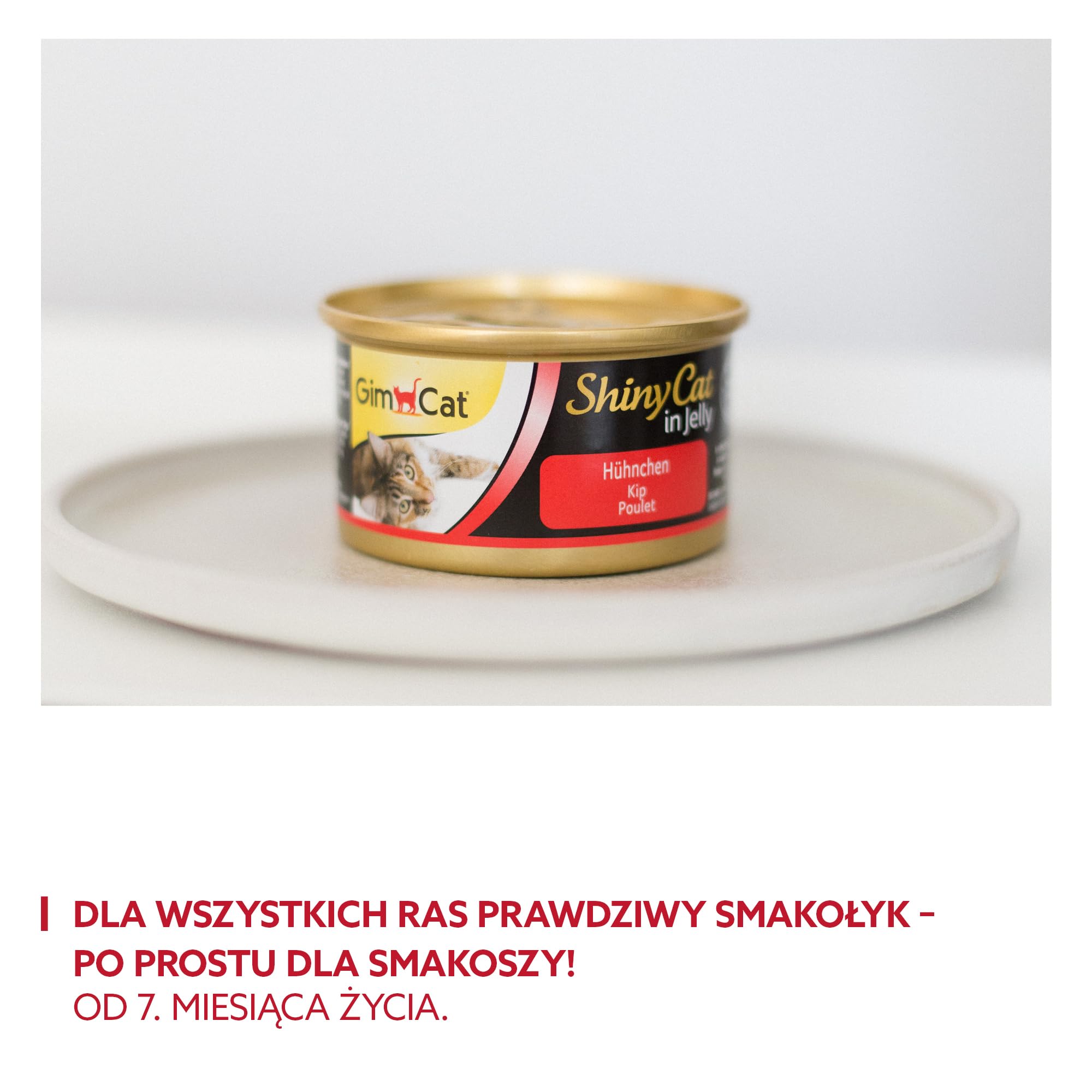 GimCat ShinyCat in Jelly z kurczakiem - Mokra karma dla kotów z mięsem i tauryną - 48 puszek (48 × 70 g)