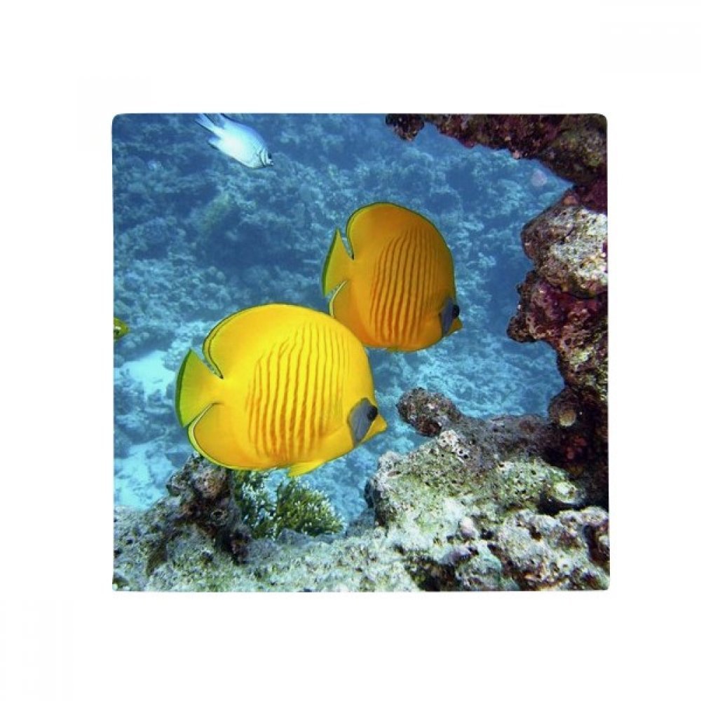 Tapis poisson de mer 60cm idée cadeau originale pour passionnés de plongée nature