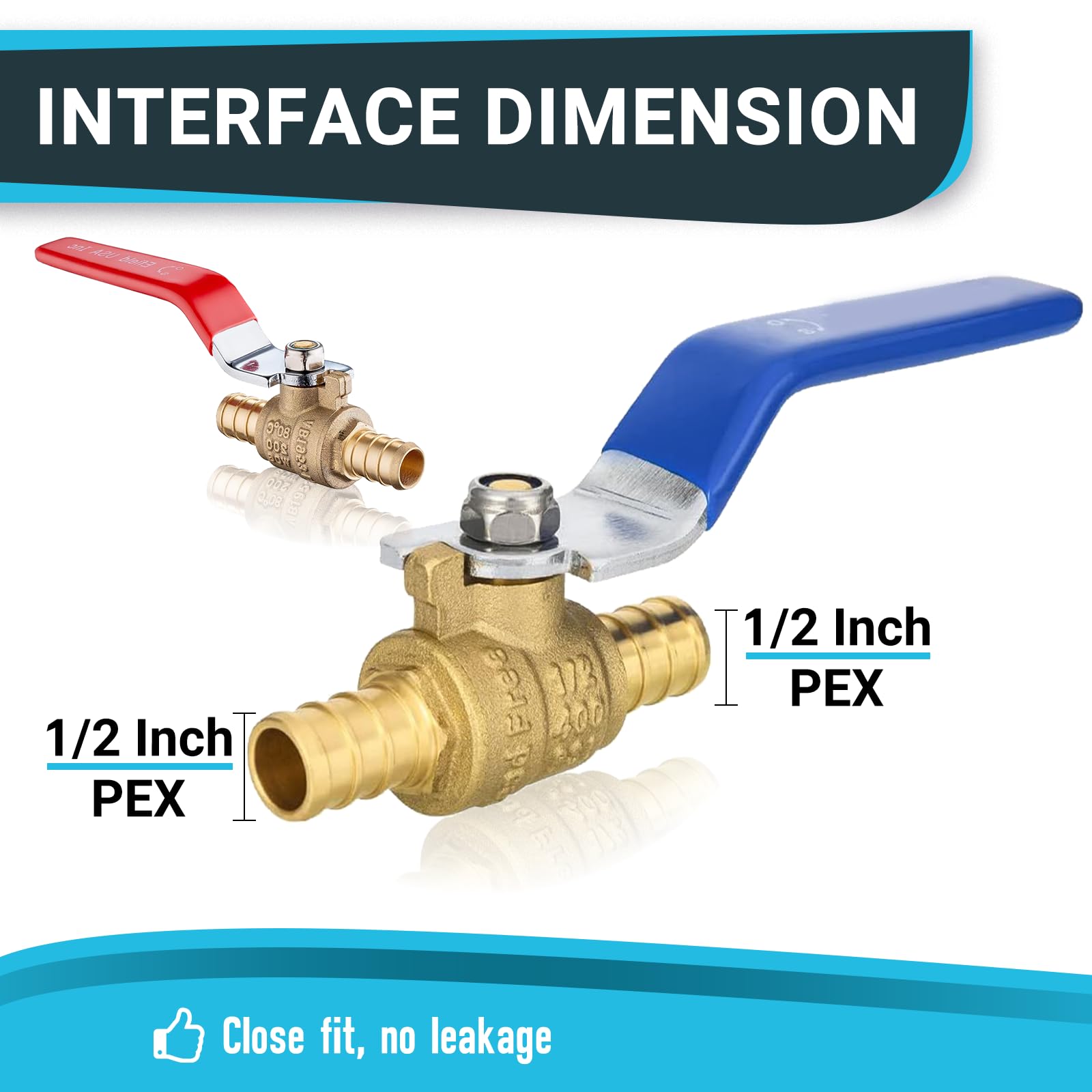Valvola a sfera PEX da 1/2" x 1/2", in ottone, per collegamento a tubo Pex, ASTM F1807, rosso e blu, confezione da 10