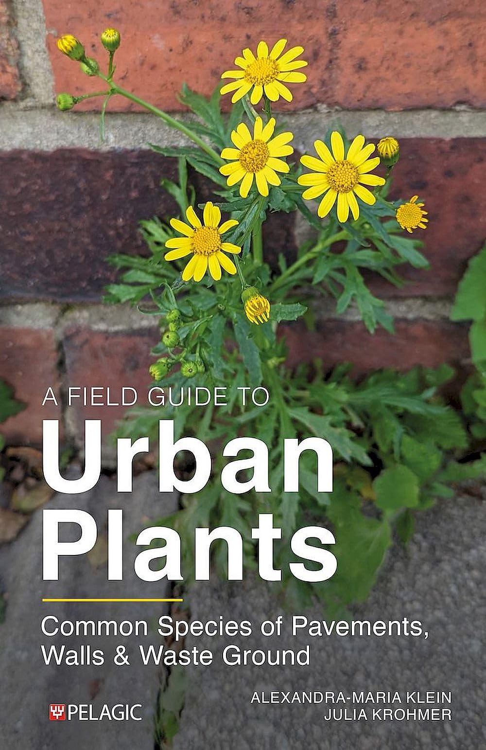A Field Guide to Urban Plants: Common Species of Pavements, Walls and Waste Ground (Pelagic Identification Guides)