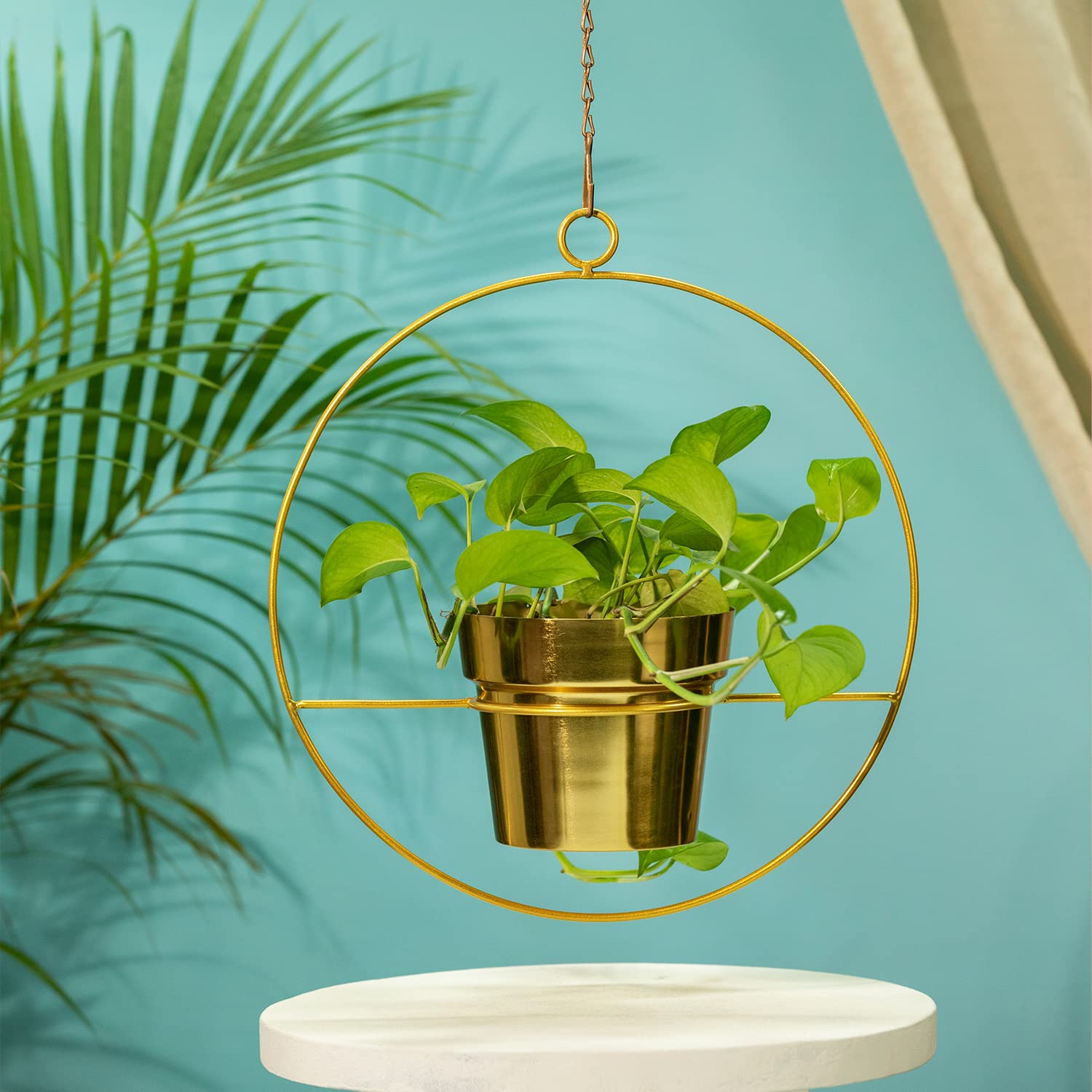 TrustBasket Luna Metal Hanging Planter (Set of 2)| Heavy Duty Metal Indoor and Outdoor Planter for Home Decor | Vertical Garden Hanging Decor | Hanging Planter (B0C3XPHBC8) Amazon Price History, Amazon Price Tracker