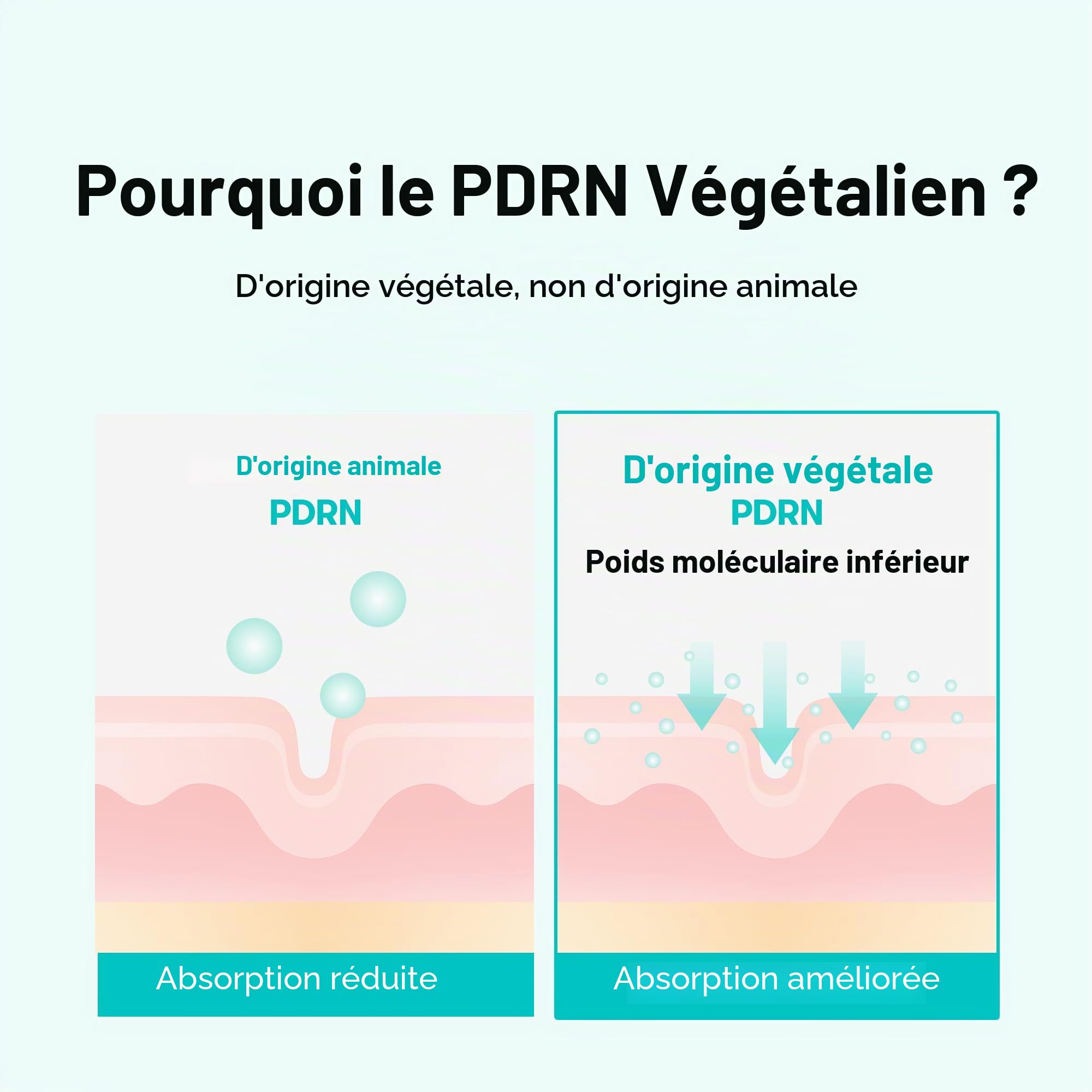 VT COSMETICS PDRN Glow Ampoule en spray hydratant profondément pour le visage - Sérum léger végétalien - Effet repulpant - Sans parfum - Soin coréen de la peau - 100 ml