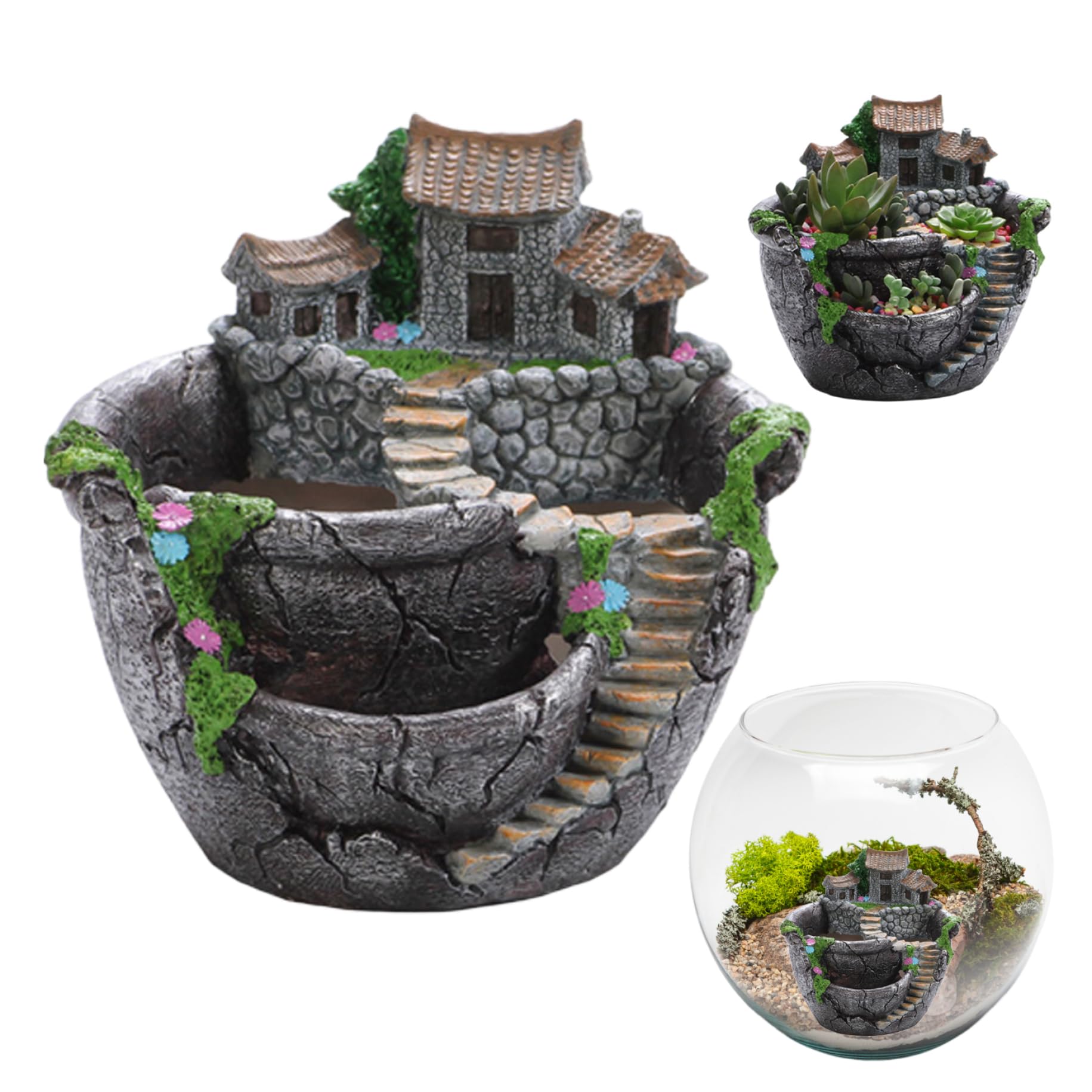 Pot de plante succulente léger et étanche pour éviter les fuites d'eau
