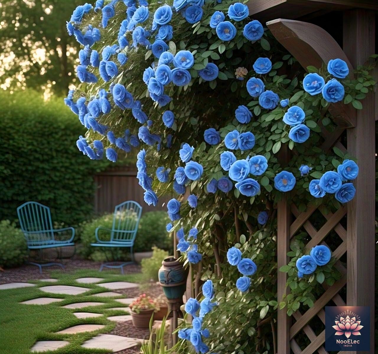 NooElec Seeds India Climbing Rose Flower Seeds, 60 Seeds Pack - Hybrid, Year-Round Blooms, Minimal Care (BLUE) - Image 5 thumbnail