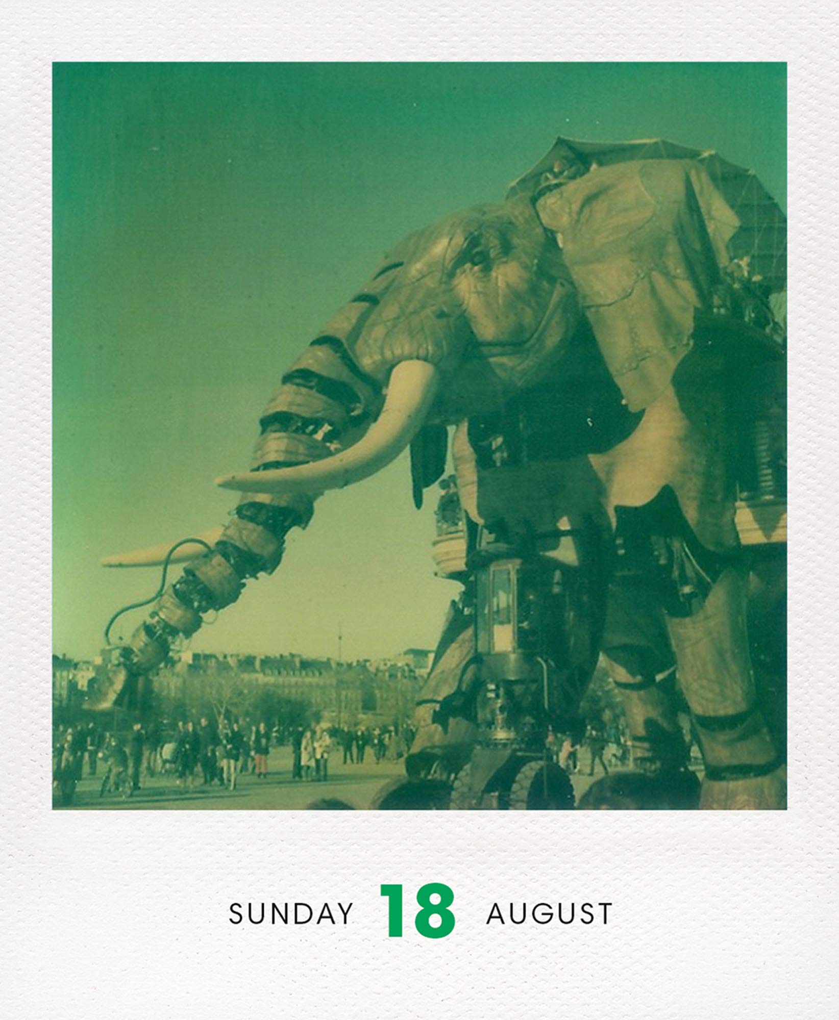 Photodarium 2019: Every Day a new Instant Photo: A Calendar For 2019 With 365 Instant Photos: 8