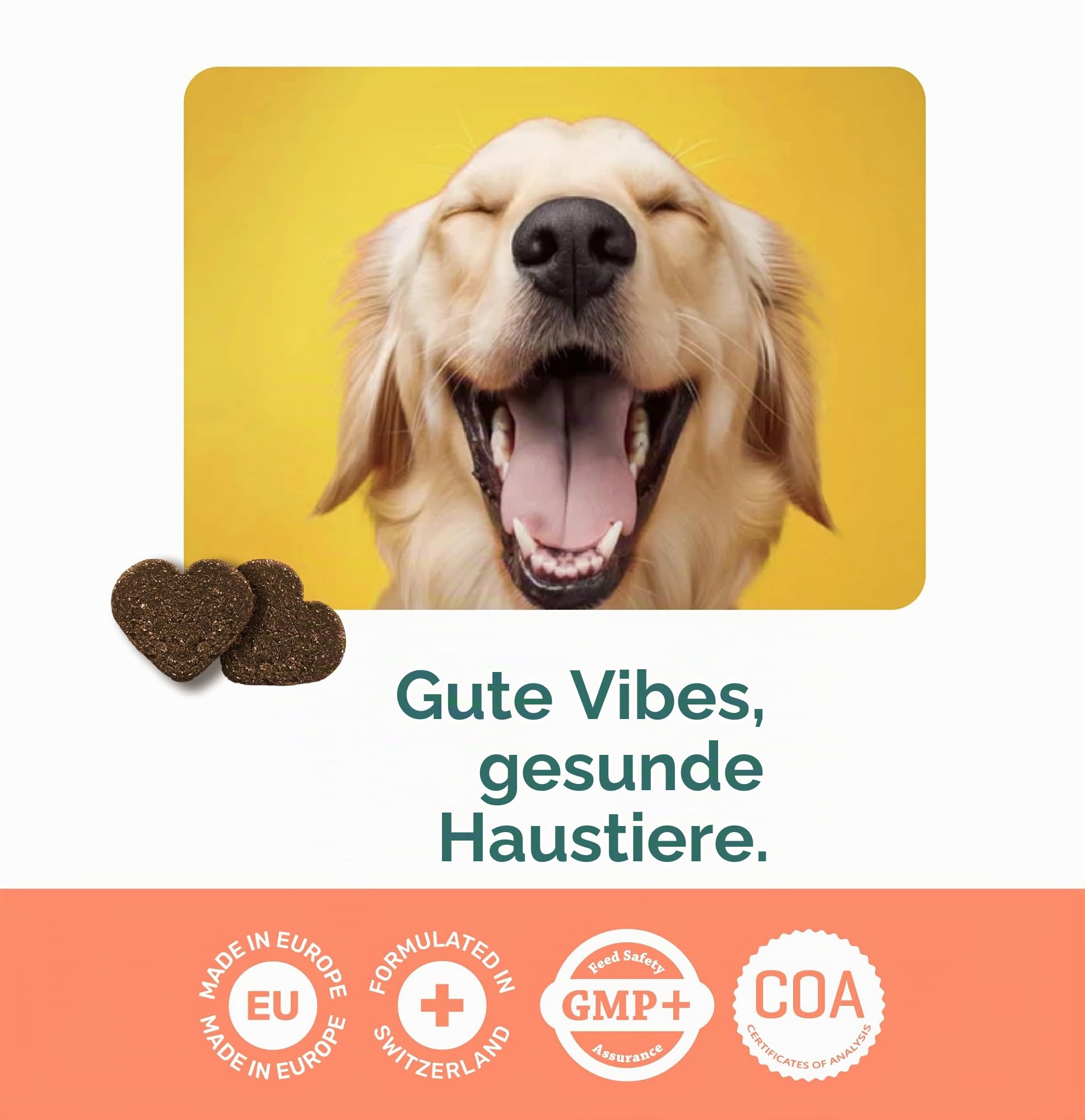Beruhigung Hund Natürlich 120 Stück (300 g) – Anti Stress Snacks mit L-Tryptophan, L-Theanin, Alpha-Casozepin & Ashwagandha – Für Entspannung bei Feuerwerk, Reisen und Trennungsangst