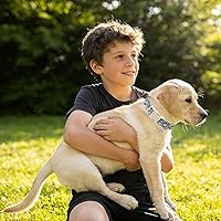 Vista 131 de DOGWONG Collar de perro Airtag de algodón y cáñamo, collar resistente para perros con soporte para Airtag, collares verdes para perros pequeños