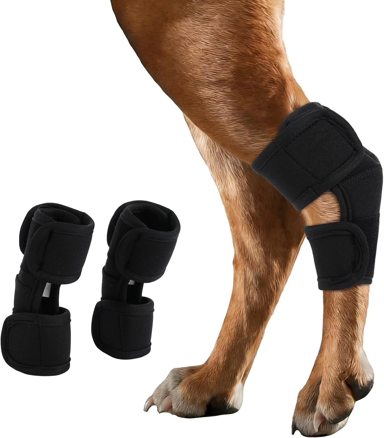 IECOii 1 Pair Dog Leg Braces for Back Leg, Adjustable Pet Compression Wrap for Torn ACL CCL Joint Injury and Sprain Protection, Dog Ankle/Hock Brace for Front & Rear Legs Short Canine Joint Wrap, L