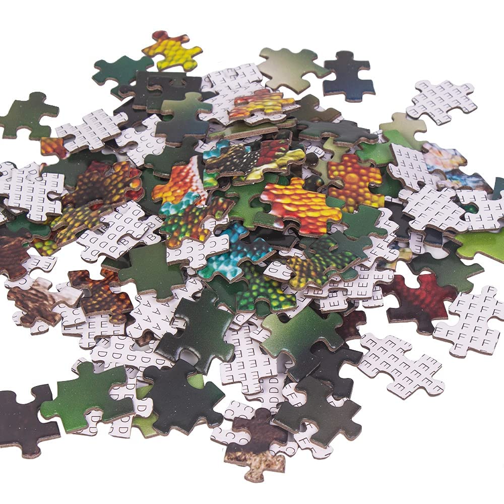 MaxRenard Puzzle Da 1000 Pezzi Per Adulti, Formato 67,9x50,2 Cm, Con Poster Incluso, Idea Regalo - 5