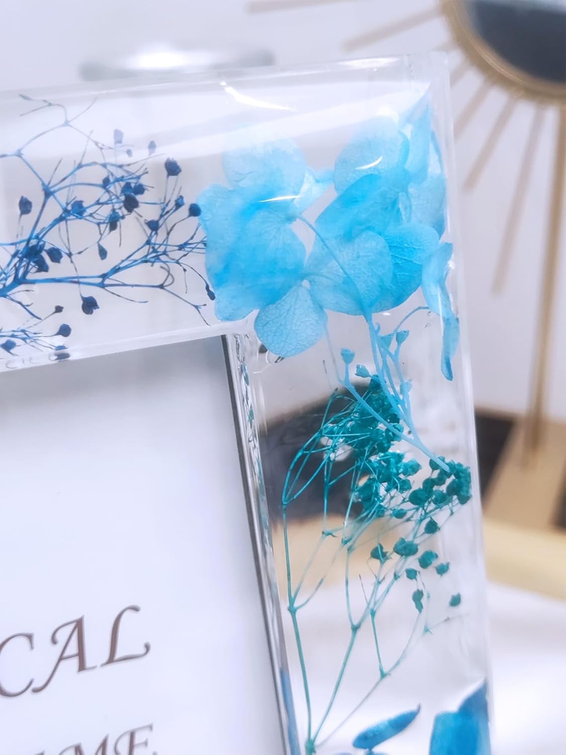 Botanical Picture Frame, 3.5"x5" 4 * 6'' 5 * 7‘’,Acrylic dried flower photo frame tabletop and wall hanging Blue Red Yellow Purple 1pc （picture random） (Blue, 5 * 7‘’)