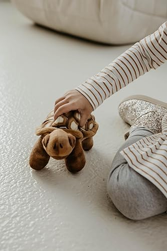 The Petting Zoo Peluche de tortuga del desierto, regalos para niños, animales salvajes de la vida silvestre, tortuga del desierto de 9 pulgadas