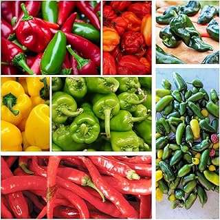Hot and Sweet Pepper Seeds Collection, 8 Varieties, Jalapeno, Habanero, Bell Pepper, Cayenne, Hungarian Wax, Anaheim, Serrano, Poblano Vegetable Planting
