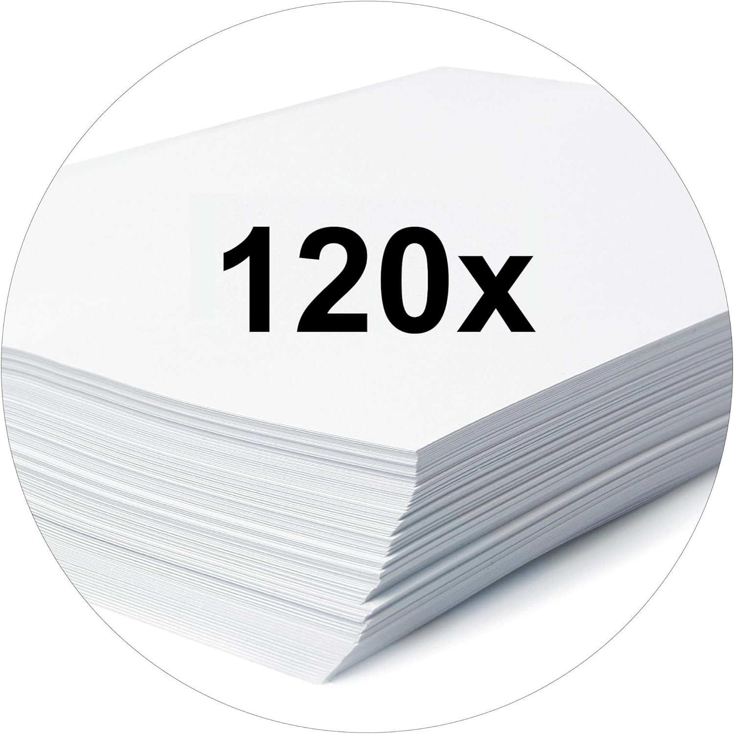 Falcon Plastic Loose-Leaf Binder, Made from Polypropylene Film, for DIN A4 Commercial Binding Pack of 1 White