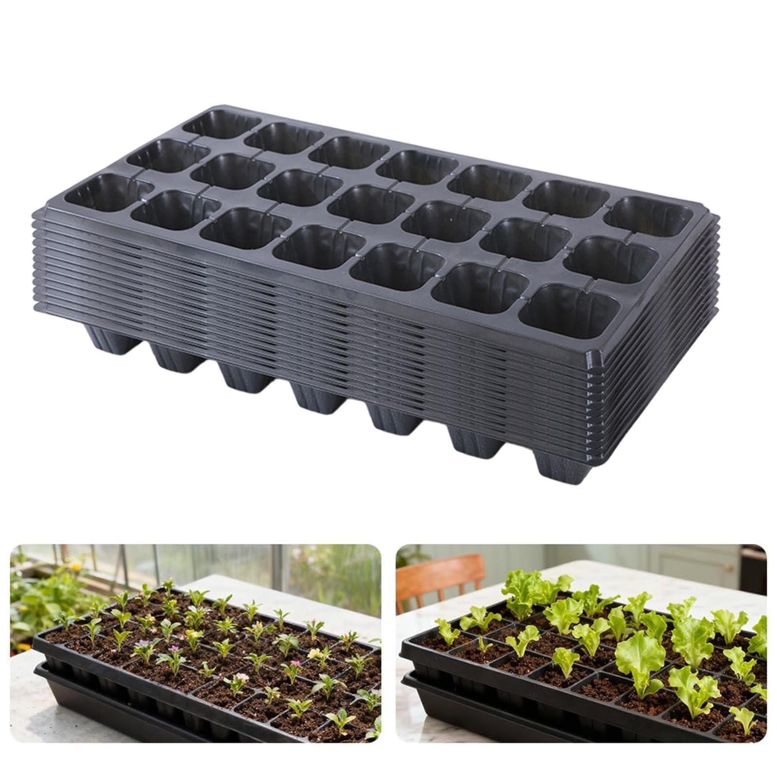 12 Plateaux de Semis Alvéolés en PP, avec Trous de Drainage, Bacs de Germination pour Semis de Légumes, Fleurs, Fruits, Plaques Pépinière Réutilisables pour Jardinage Intérieur, 21 cellules