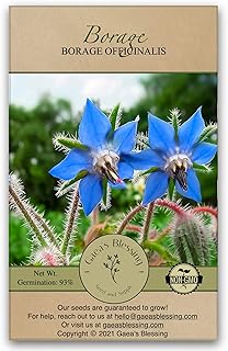 Sponsored Ad - Gaea's Blessing Seeds - Borage Seeds (2.0g) - Non-GMO Seeds with Easy to Follow Planting Instructions - Ope...