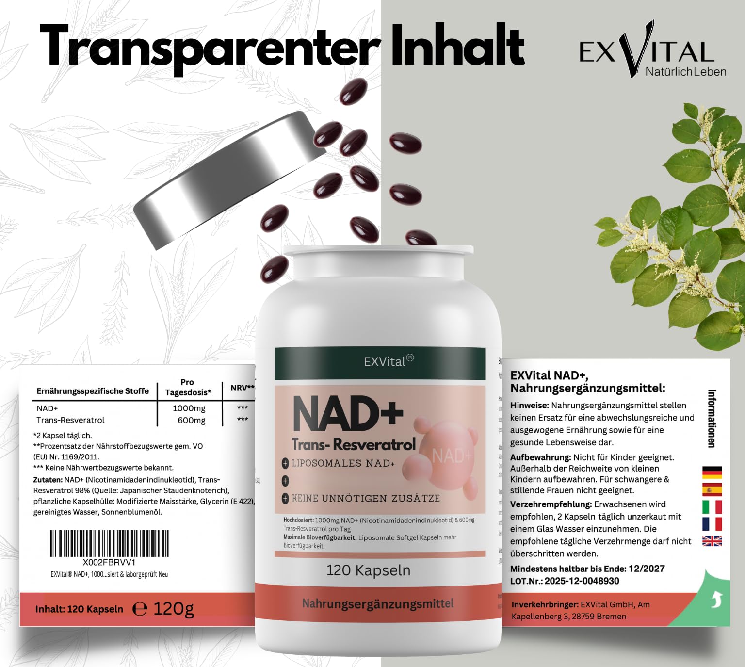 EXVital® NAD+, 1000mg NAD+ & 600mg Trans-Resveratrol pro Tag- 120 vegane Softgels - liposomal & maximale Bioverfügbarkeit, hochdosiert & laborgeprüft