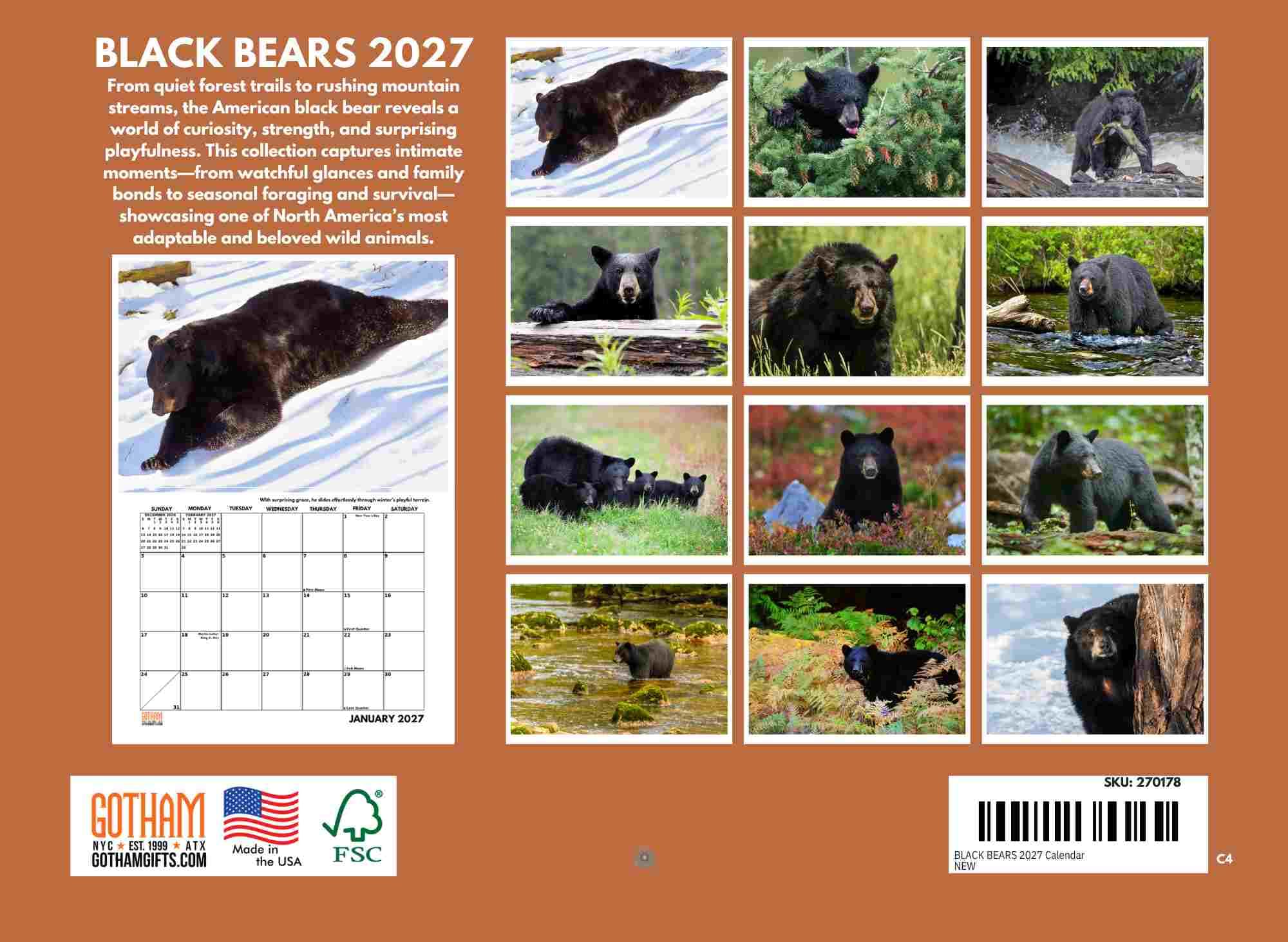 Poster Foundry Calendario mensual de pared 2024 con diseño de oso negro, 12 meses, 12 x 18 pulgadas