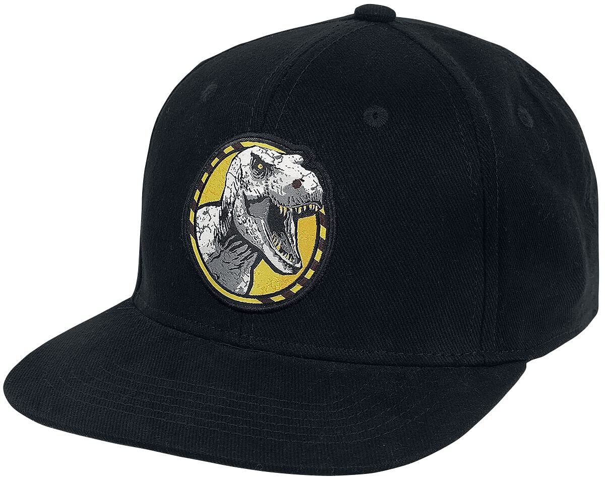 DifuzedUniversal - Jurassic Park - Snapback Cap Black