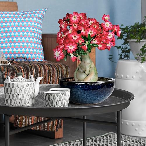 Miniatura 3 de Maceta para suculentas de 11, 9 y 7 pulgadas, con almohadillas de drenaje y malla, maceta redonda grande de cerámica para plantas de interior y