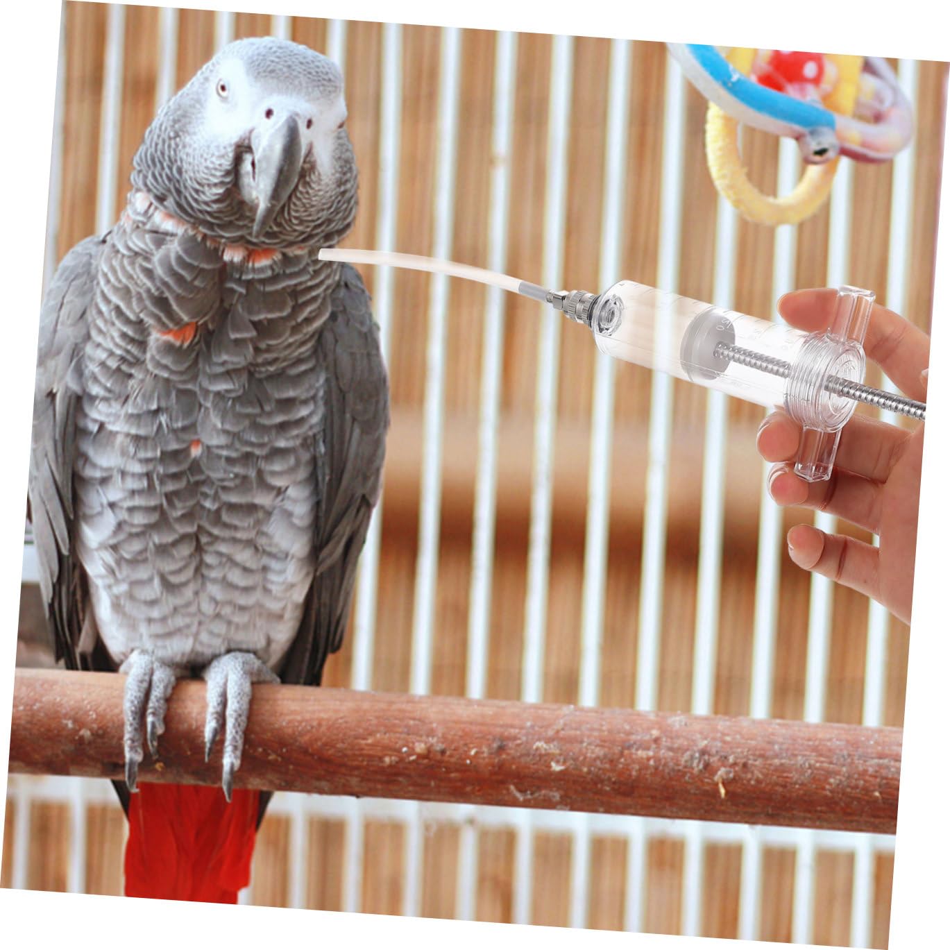 3 Sets Baby Vogel Für Nymphensittich Hand Papagei Feeder Papagei Feeder Zubehör