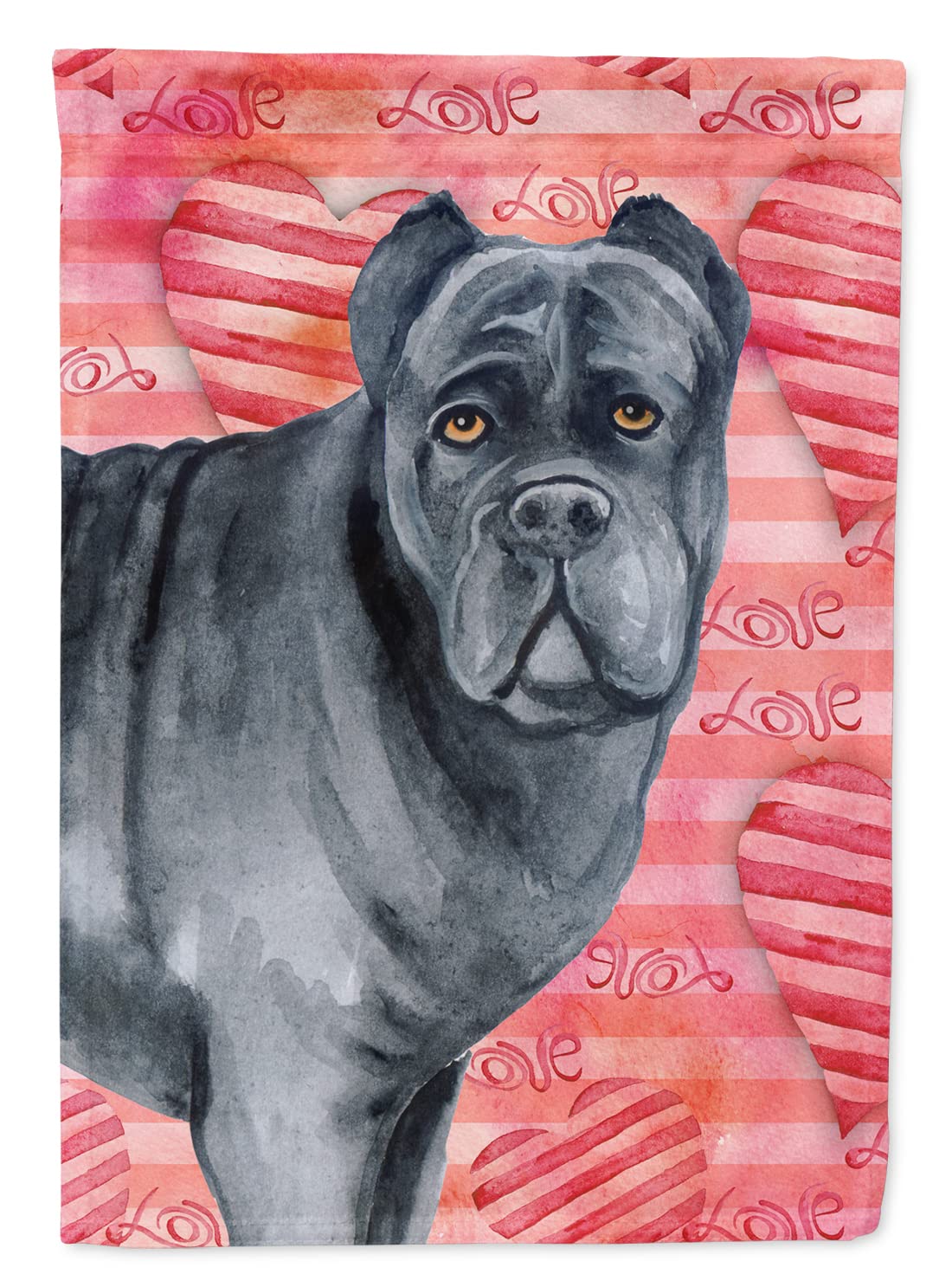 Drapeau Cane Corso haut de gamme Caroline's Treasures en toile épaisse grand format