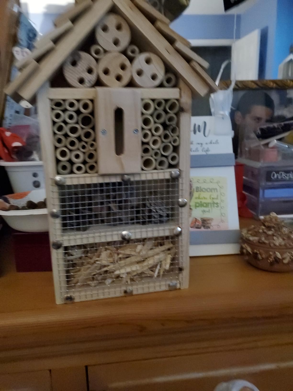 Bug Hotel Woodworking Kit