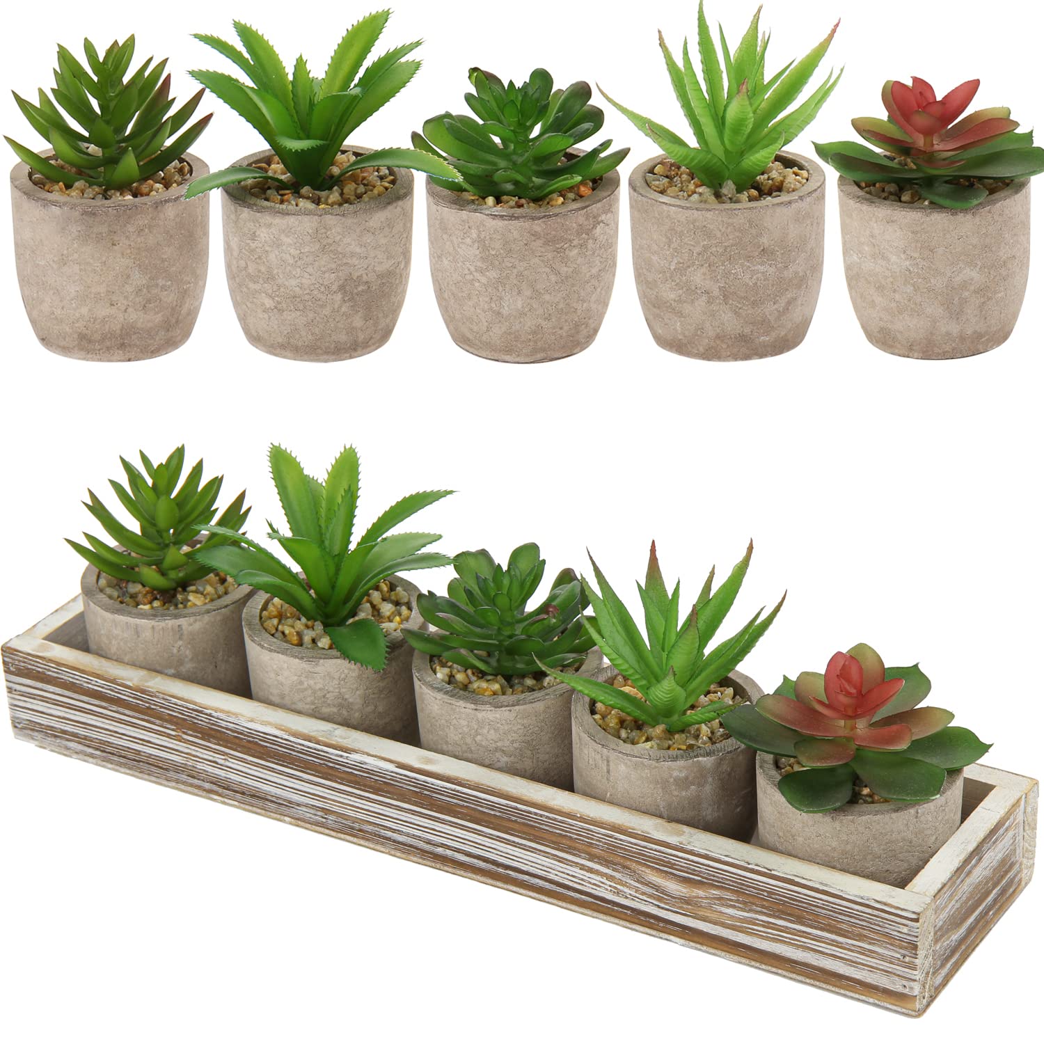 Buy Set of 5 Mini Succulents Artificial Succulents in Pulp Pots Small