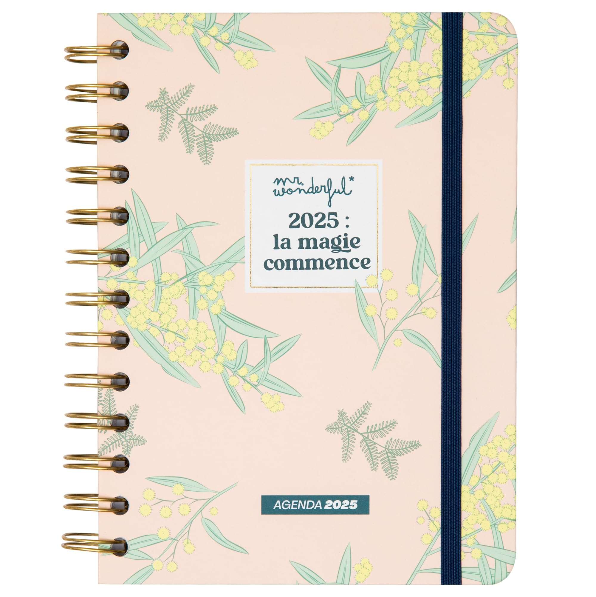Mr. Wonderful - Office Small 2025 Week to View Diary - Magic Begins - Includes 8 Sheets of Stickers and Motivation Phrases
