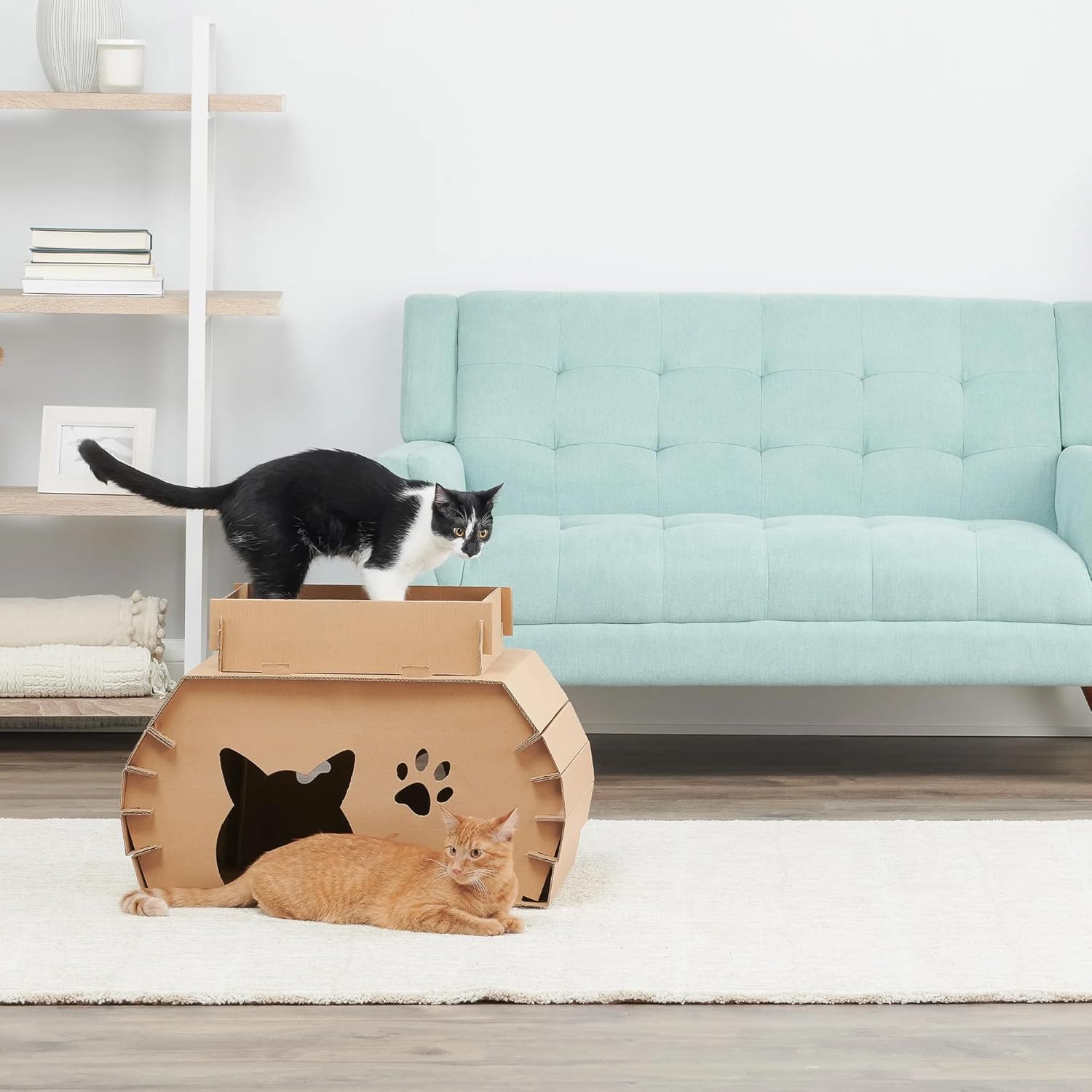 Carlson Cat Camper with Scratching Pad, Includes One Cat Door, Three Paw Windows, and One Cat Scratching Pad