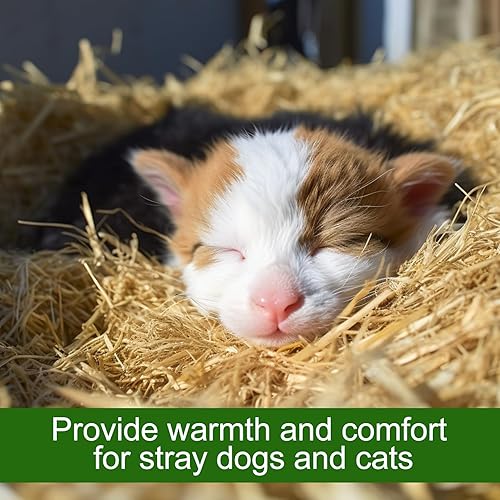 Miniatura 2 de Paja de trigo natural  Paja seca de 1 libra, limpia y suave, paca de paja decorativa para gatos callejeros, perros, patio, granja, mascotas, jardín,