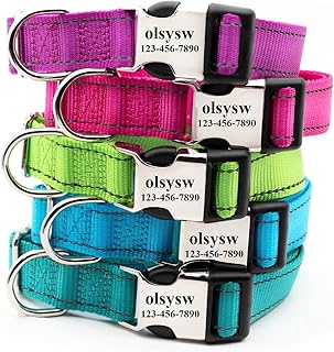 olsysw Customized Dog Collar with Name Plate, Personalized Engraving Unique ID Tag, Adjustable Sizes for Small Medium Large Dogs (S,M,L,XL) Blue XS, S, M, L, XL