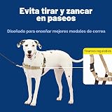 Ver la foto 3