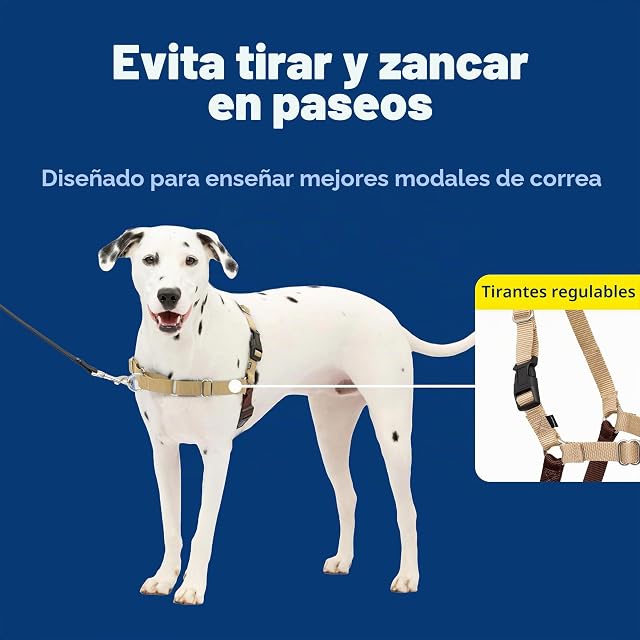 Foto 3 de 8 de Arnés para Perros PetSafe Easy Walk