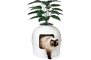 Bundle & Bliss Secret Litter Box: Say Adieu to Odorous Litter Woes!