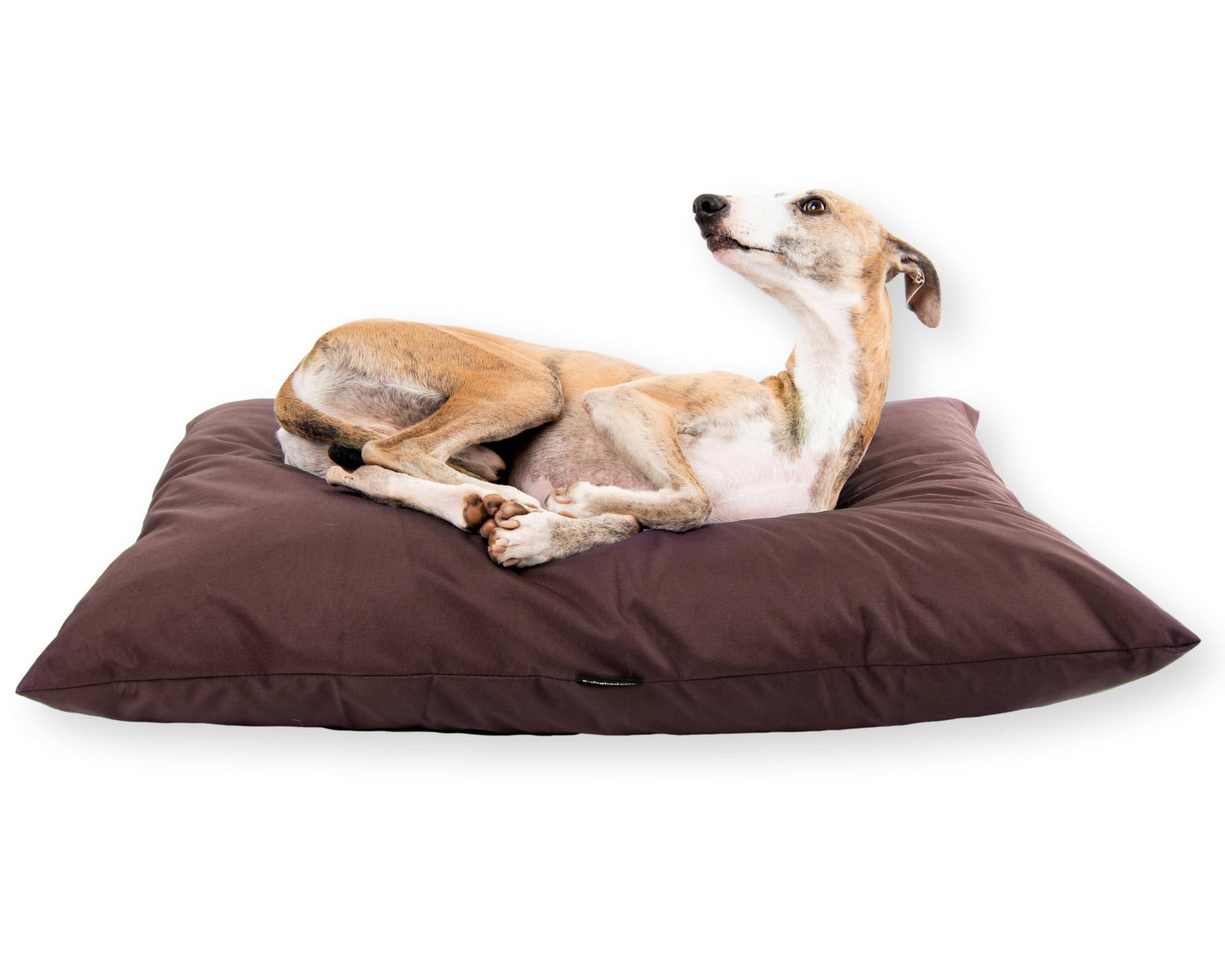 Human Size Hondenbed Hondenkussen Hondenmat 1825x1220x254mm Bruin P 010387863297