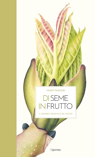 Di seme in frutto