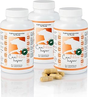 Hepar Dreierpack mit 300 Tabletten, unterstützt Leber und Galle mit innovativem Karaliv (aus den USA), Silymarin und Cholin, speziell für Hunde