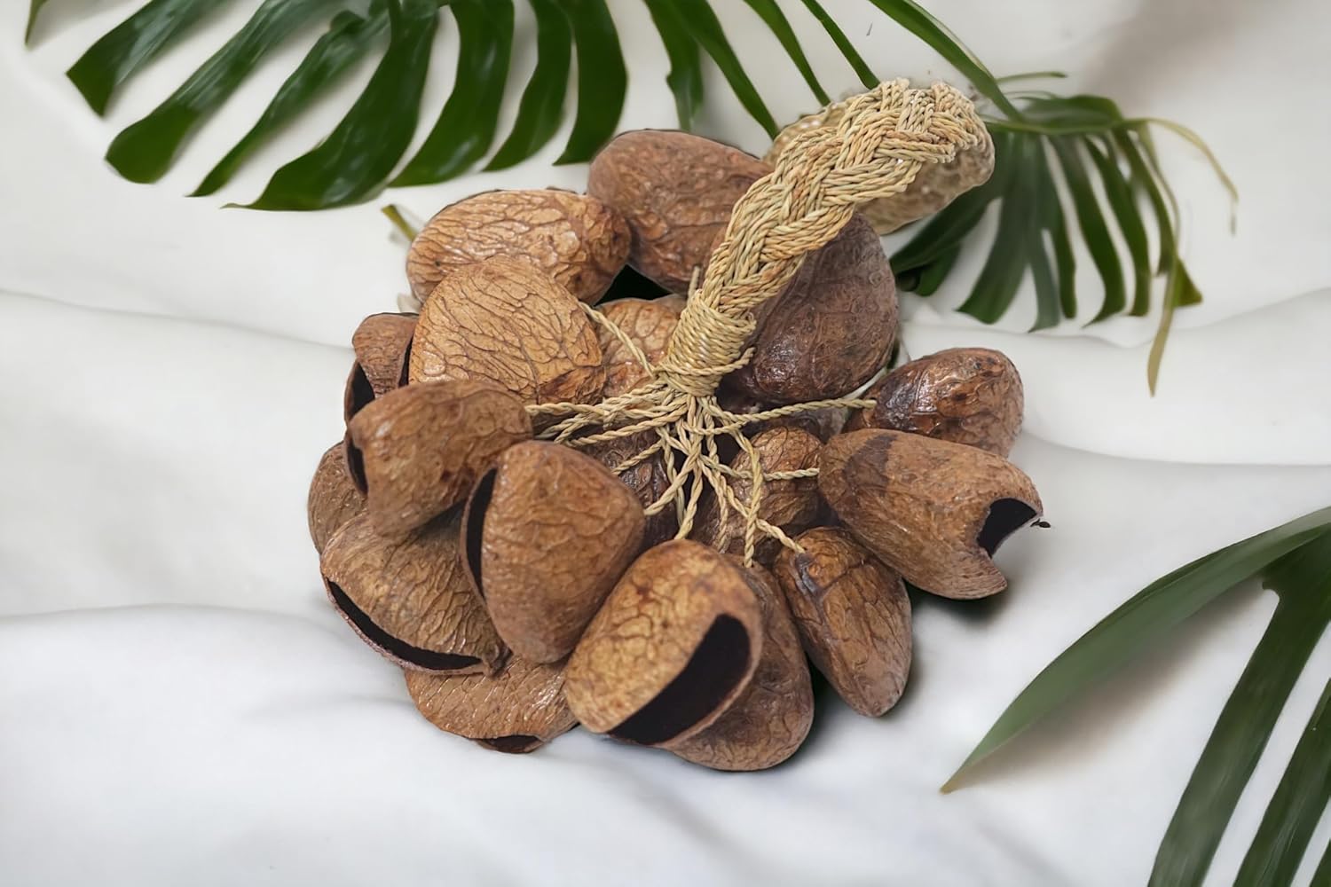 GMP Pangi Seed Shell Shaker/Nutshell Percussion Sound Effect, Comes with Rope Handle/Bamboo Handle, Authentic Traditional Rattle (Natural)
