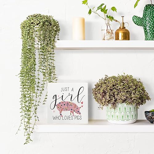 Miniatura 6 de Cartel divertido de cerdo, regalo de cerdo, decoración de escritorio, caja de madera, letrero de madera para decoración de cerdo, caja de placa para